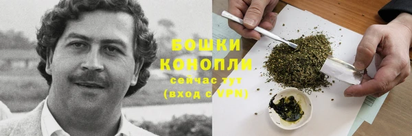 2c-b Белокуриха