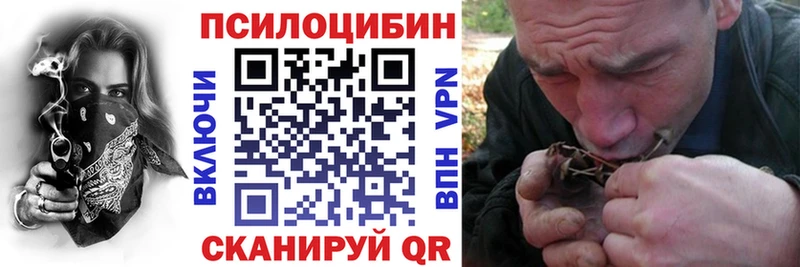 Галлюциногенные грибы MAGIC MUSHROOMS  МЕГА маркетплейс  Ядрин 